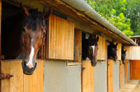 free Fowley Common stable construction quotes